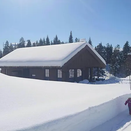 With Inout Near Alpine Stryn
